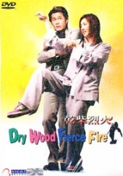 Dry Wood Fierce Fire