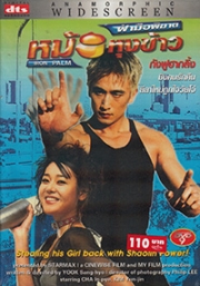 Iron Palm (Korean Movie DVD)