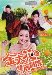 Princess Stand in (All Region DVD, 7DVD)(Chinese TV Drama)