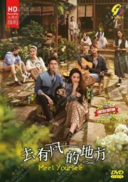 Meet Yourself (Chinese TV Series)