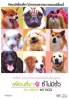 All about my dog (Japanese movie DVD) All about my dog (Japanese movie DVD)