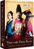 Tree with Deep Roots (Region 1)(Korean TV Drama)(US Version)