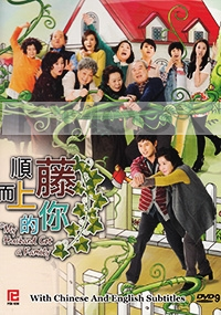 My Husband Got a Family (All Region DVD, Complete Series)(Korean TV Drama)