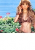 Ayumi Hamasaki - Sunrise / Sunset - Love is all (35 Tracks - 2CD) Ayumi Hamasaki - Sunrise / Sunset - Love is all (35 Tracks - 2CD)