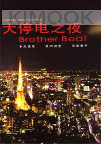 Until the light come back : brother beat / Daiteiden no yoru ni